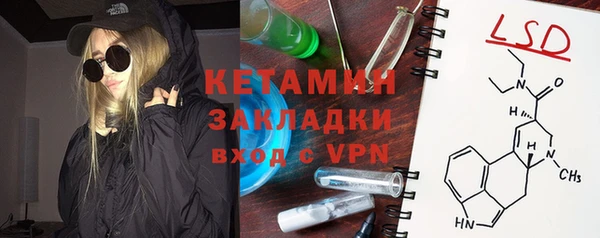 прущие грибы Балабаново