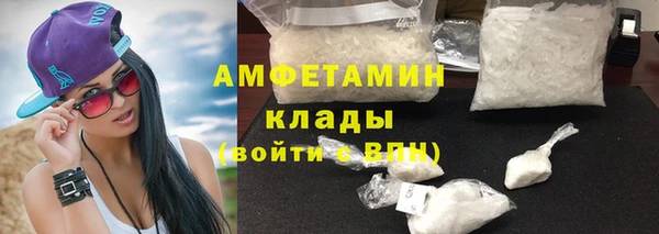 прущие грибы Балабаново