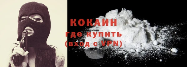 прущие грибы Балабаново