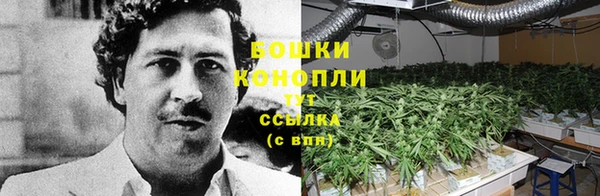 твердый Майский