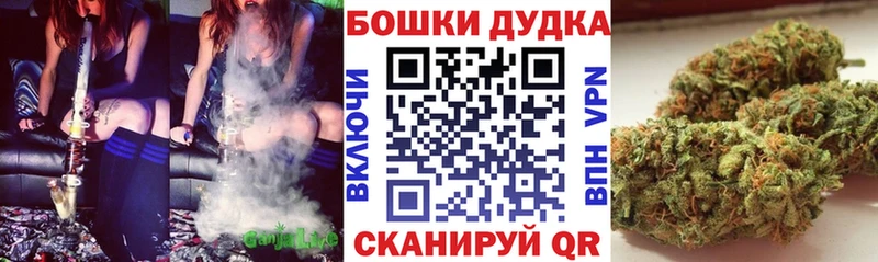 Бошки марихуана индика Бологое